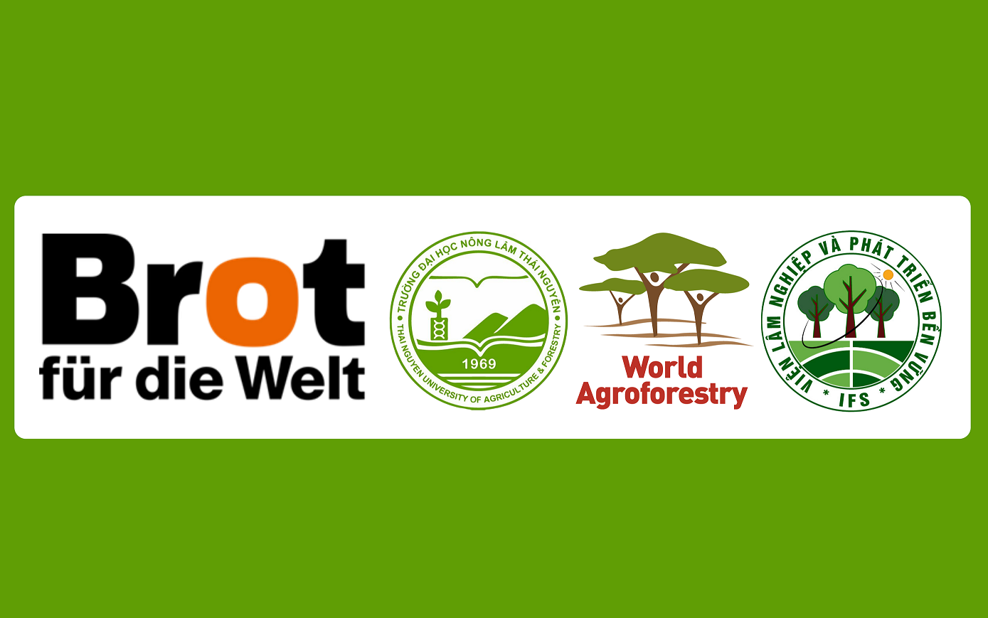 Phục hồi rừng hỗn giao tre/trúc - gỗ